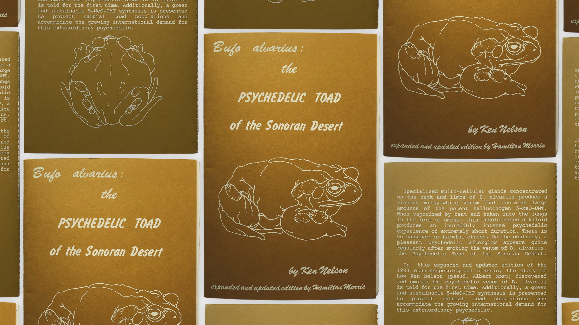 Cover and back of Bufo Alvarius: The Psychedelic Toad of the Sonoran Desert 