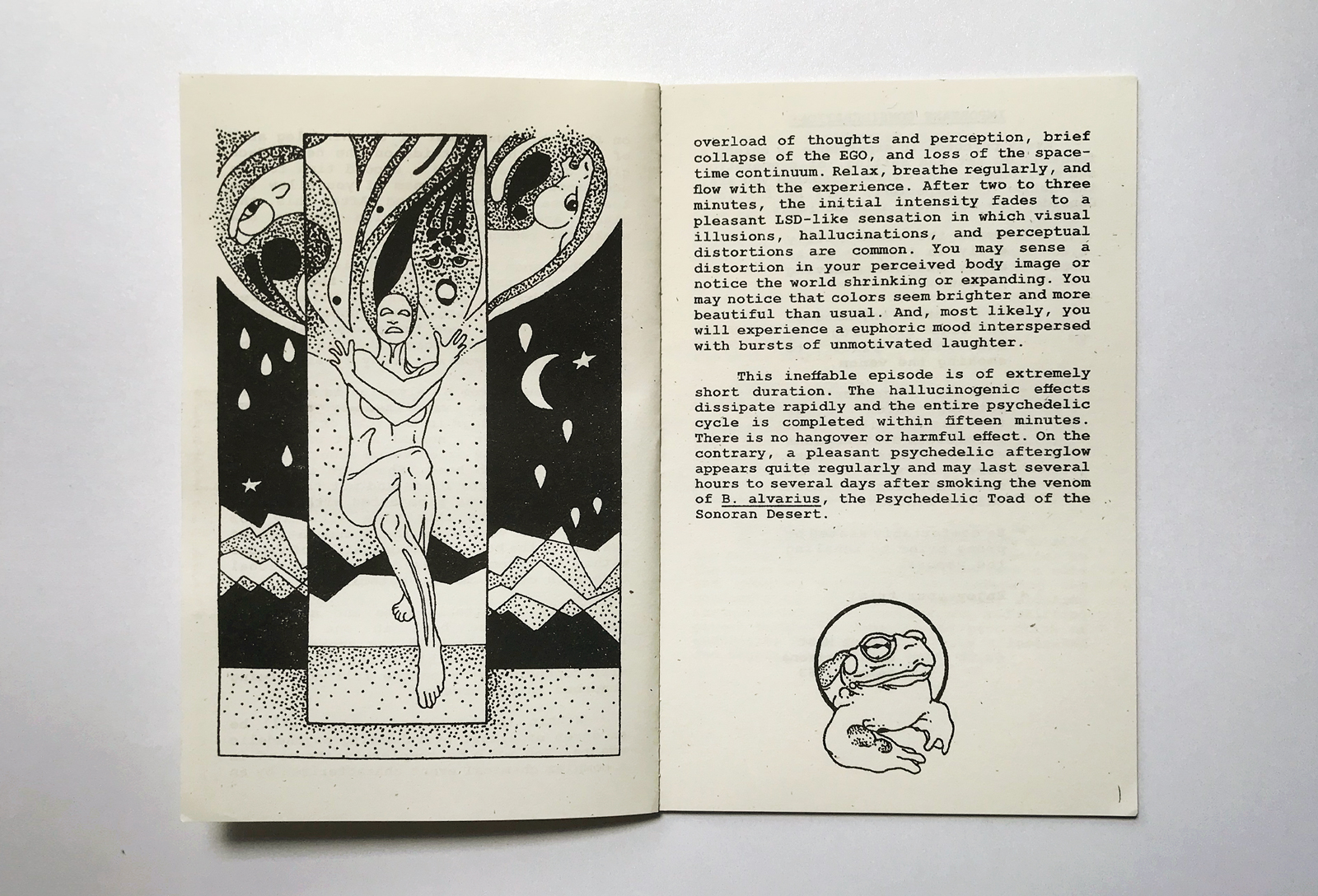 A spread from Bufo Alvarius: The Psychedelic Toad of the Sonoran Desert demonstrates the kind of artwork Gail Patterson was putting into eccentric anonymous zines in the early 1980s.