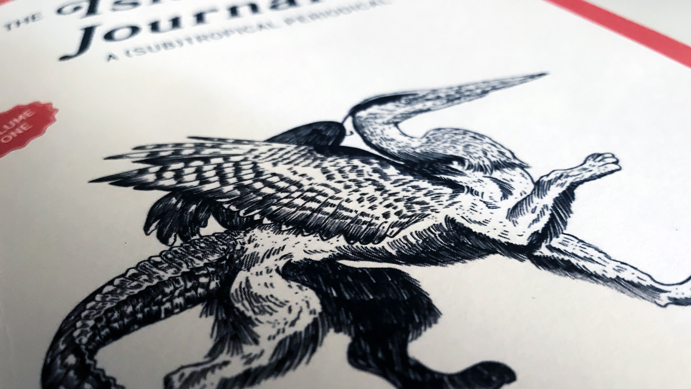 Detail of illustrator Russel Beans' Everglade Griffin on the cover of The Islandia Journal: A (Sub)Tropical Periodical