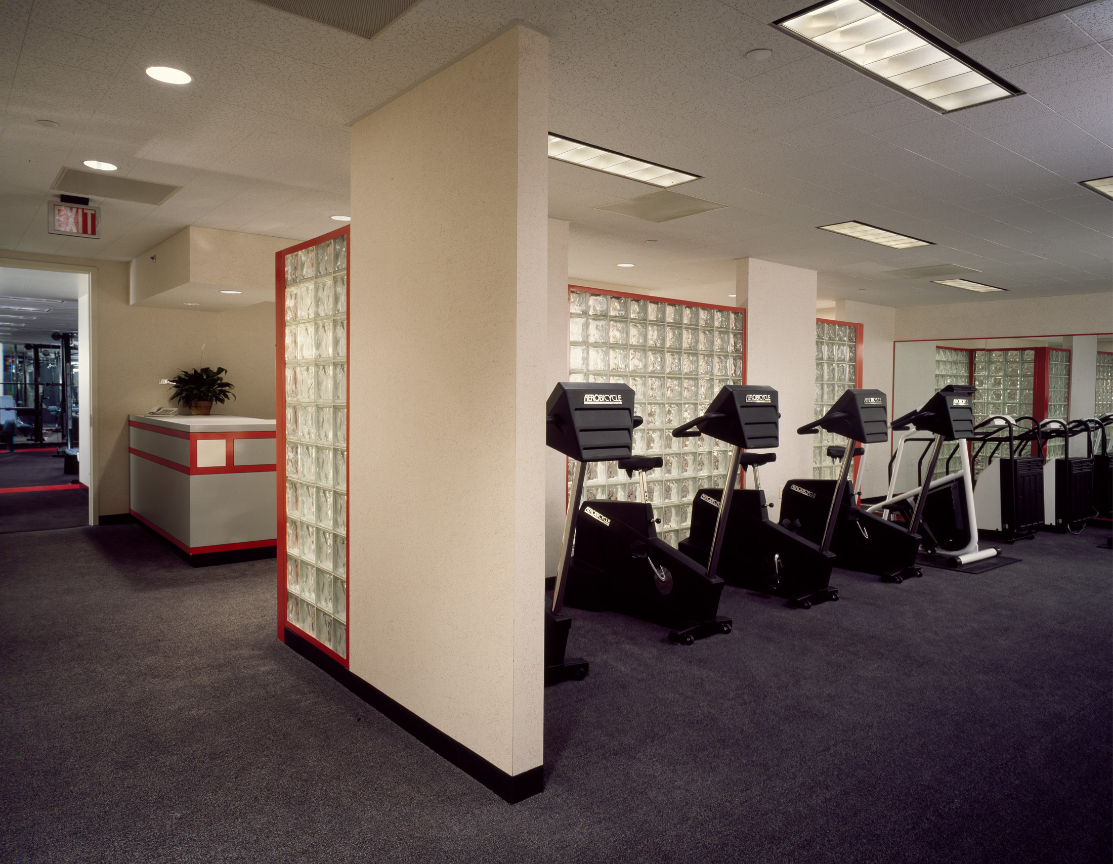 a row of elliptical machines are seen in a weird 1980s carpeted office space with glass block walls in the back