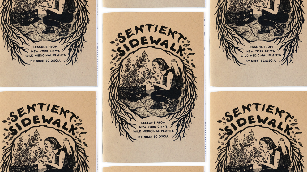The cover of Sentient Sidewalk: Lessons From New York City’s Wild Medicinal Plants by Nikki Scioscia repeated a few times