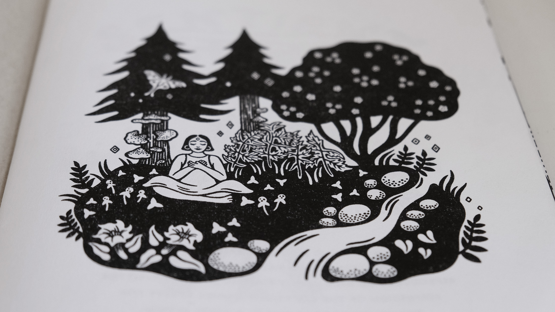 A black and white illustration of a woman sitting in a field of fungi, plants, and soil; under a forest canopy; and next to a tranquil stream