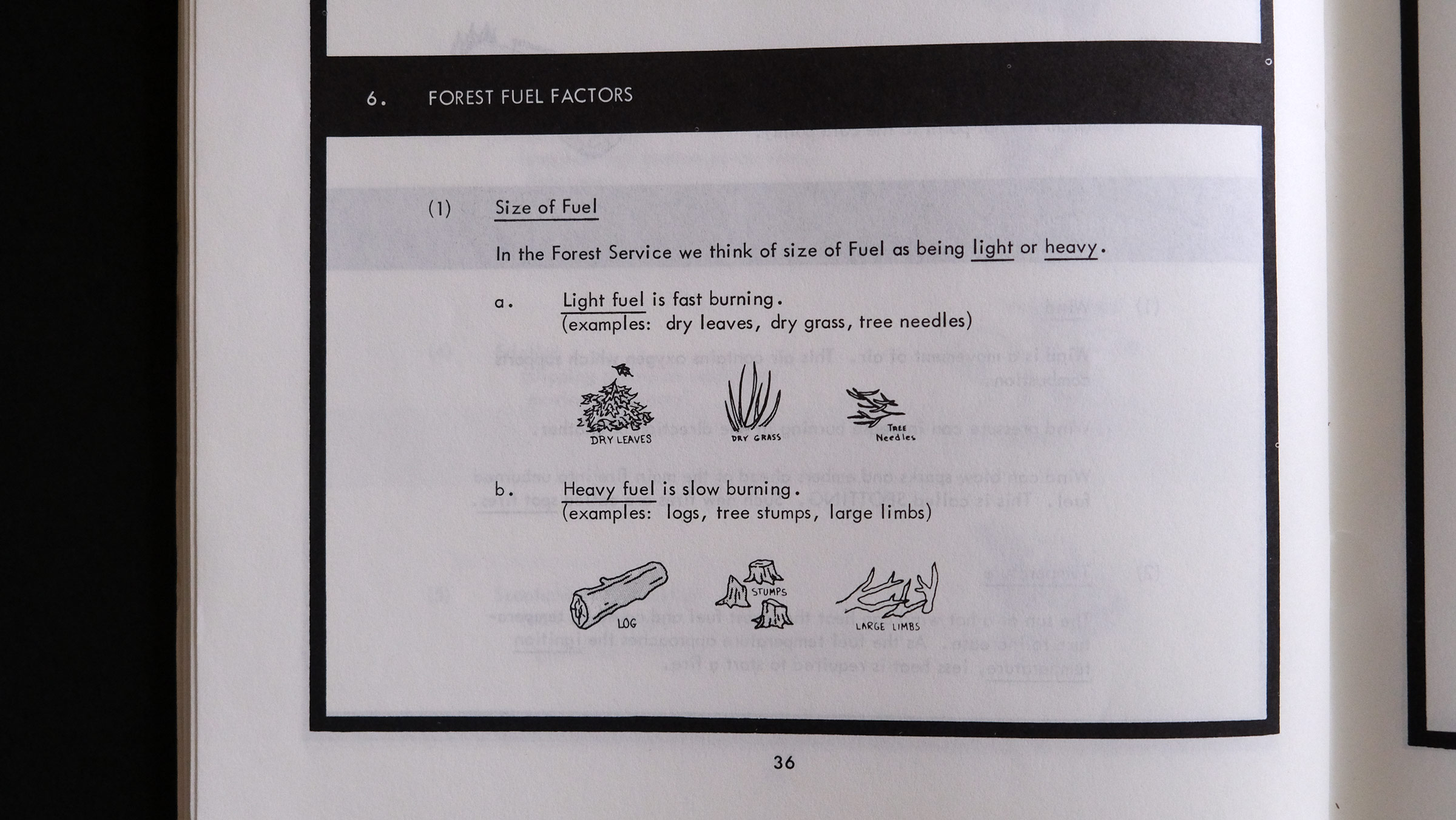 Forest Fuel Factors, simple but haunting illustrations, in Introduction to the Fundamentals of Fire Behavior: Programed Learning, A Powerful New Training Tool by the US Forest Service (1960s)